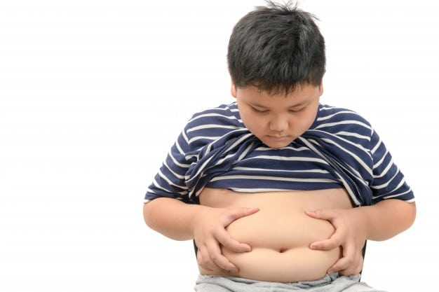 10 informações sobre obesidade
